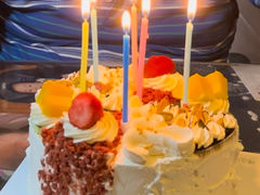 -维尔纳斯·生日蛋糕动物奶油冰淇淋蛋糕(人大店)