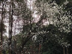-成都杜甫草堂博物馆