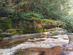 -碧峰峡风景区
