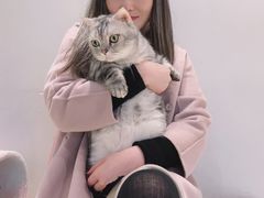 -momokira米努特·德文卷毛猫·棉花面纱犬