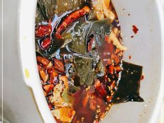 -晓彭肥肠鸡·泡椒鸡火锅(水木天地店)