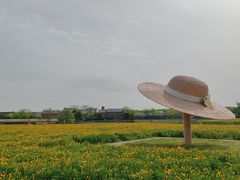 -江苏三台山国家森林公园