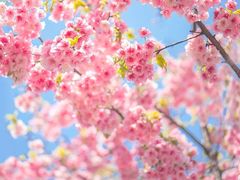 -哈根达斯(武汉天地店)