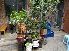 -新疆狼爷烤肉(宋庄店)