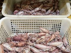 -福建美食城(老君堂店)