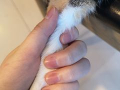 -平行世界·猫咖(首经贸店)