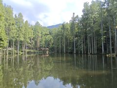 -波尔登森林公园