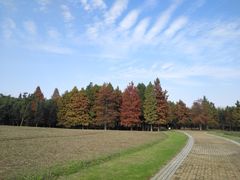 -同里国家湿地公园