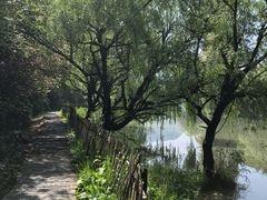 -贵阳市花溪国家城市湿地公园