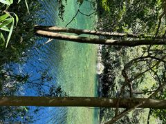 -石台牯牛降景区