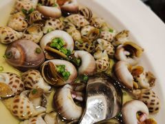 辣螺-高佳庄·舟山海鲜(海景旗舰店)