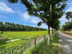 -上海长兴岛郊野公园