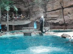 -杭州长乔极地海洋公园