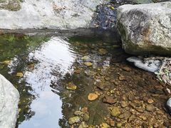 -梧桐山风景名胜区