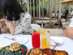 -桉树林A coffee 森林餐厅(三圣乡店)