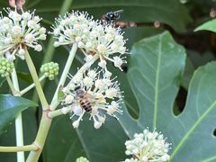 -昆山城市生态森林公园