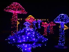 景点-苏州太湖迷笛