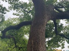 -杭州口腔医院(平海院区)