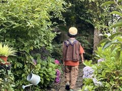 -看见远方·莫干遥远的山民宿