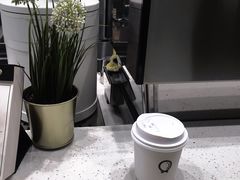 -缶乐FOLLOW咖啡