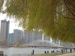 -长白岛森林公园