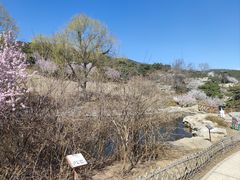 -北京西山国家森林公园