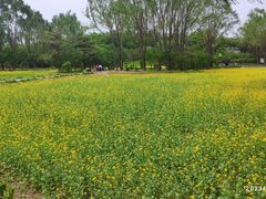 -北坞公园