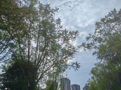 -重庆彩云湖湿地公园