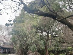 -绮园景区