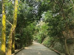 -小南山公园