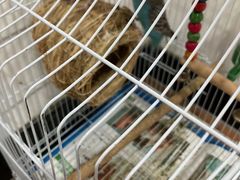 -荔康动物医院(康王北路店)