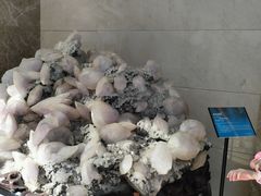 -湖南省地质博物馆