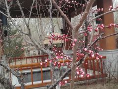 -盘锦红海温泉乐园