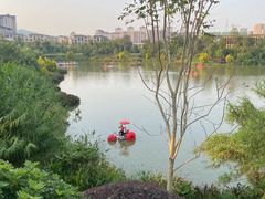 -枫香湖儿童公园