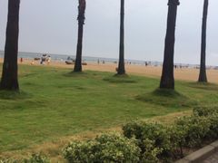 -碧海金沙