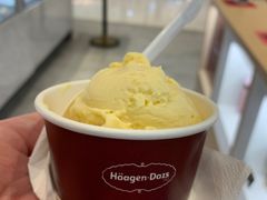 -哈根达斯(合肥万科广场店)