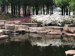 -羊亭河湿地公园