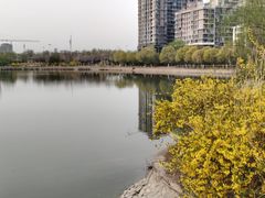 -南翠屏公园