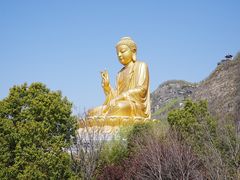 -大伊山景区