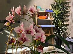 -施奈儿.洗头頭療.按摩SPA.采耳(上梅林店)