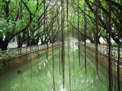 -杨南饭店·二十五年闽菜馆(凤湖新城一店)