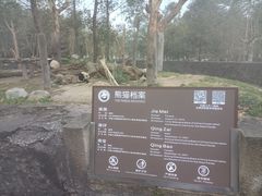 -都江堰中华大熊猫苑