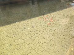 -渝半城经典川粤菜(重庆天地店)