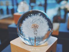 -G·SPACE(金鹰世界店)