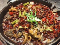 -老板恋上鱼(恒隆广场店)