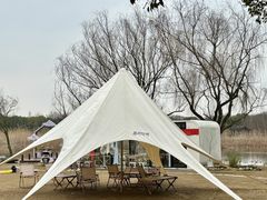 -同里国家湿地公园