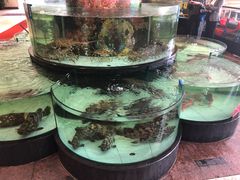 -东豪园林海鲜酒家(南港路辅路店)