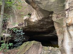 -南国桃园旅游度假区