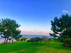 -日照灯塔风景区