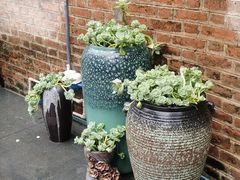 -青韵台陶艺Diy(永庆坊店)